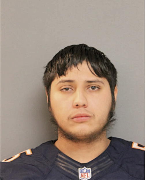 BRANDON RUIZ-GONZALEZ, Cook County, Illinois
