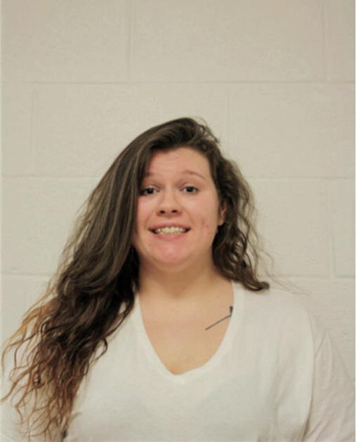 ERIKA L SHANNON, Cook County, Illinois