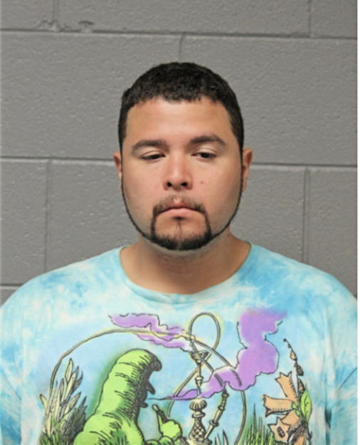 CESAR R ALVARADO, Cook County, Illinois