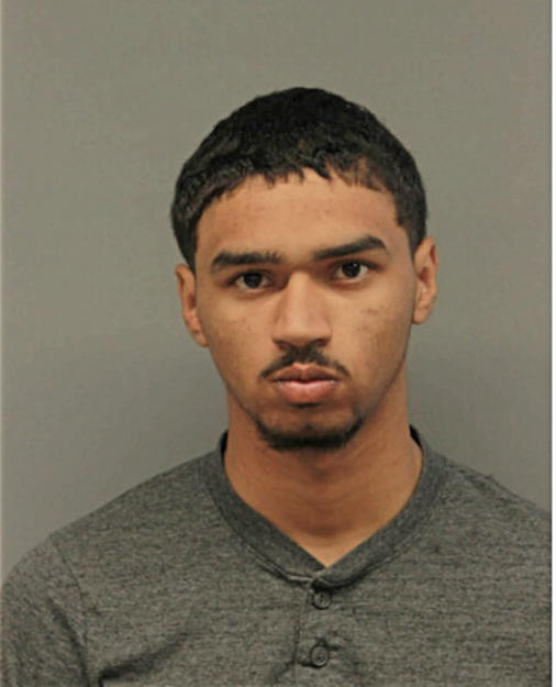 TAHJ T BELL, Cook County, Illinois