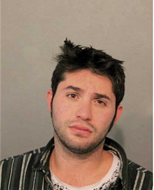 DANIEL J BEMBEA, Cook County, Illinois