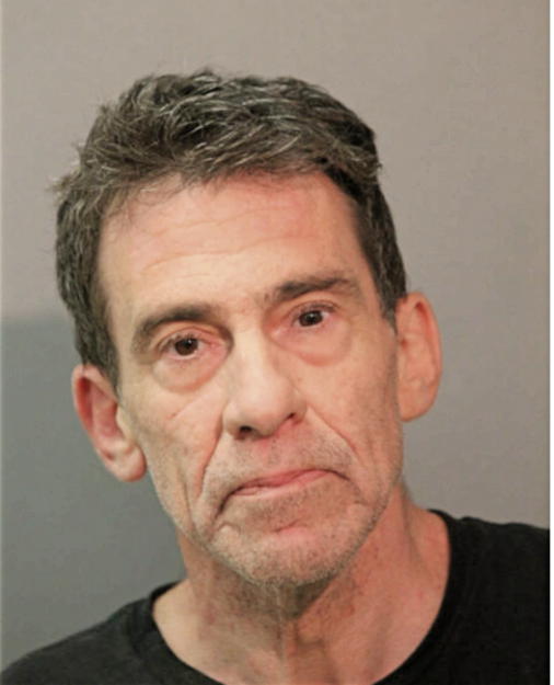 SCOTT E BERMAN, Cook County, Illinois