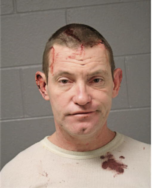 MICHAEL L DAVIS, Cook County, Illinois