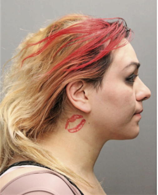 STEPHANIE C FITZ, Cook County, Illinois