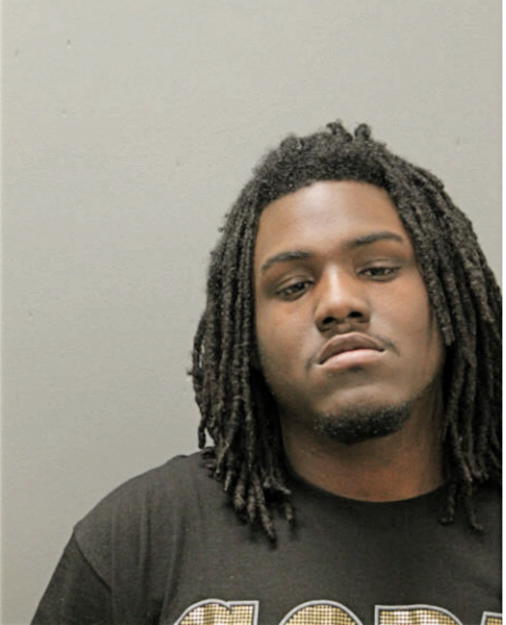 DEANDRE J GANT, Cook County, Illinois
