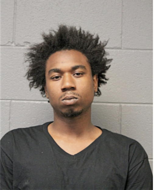 LESLIE A GOINS, Cook County, Illinois