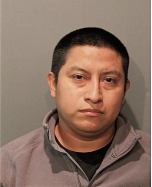 GERVER GONZALEZ, Cook County, Illinois