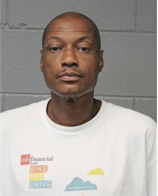 BRIAN J JOHNSON, Cook County, Illinois