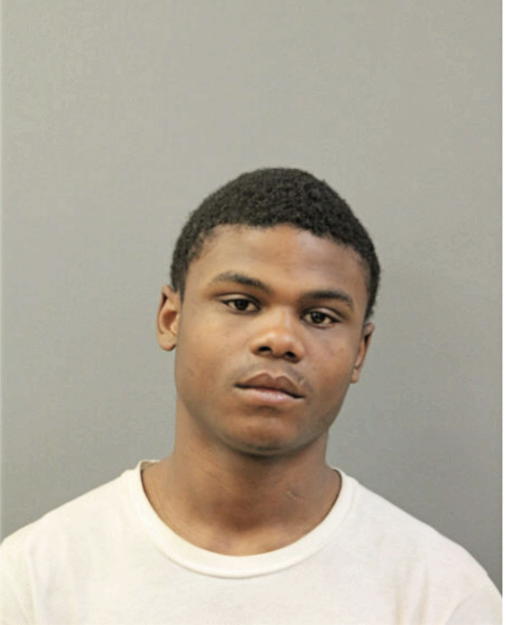 LEVELL D JOHNSON, Cook County, Illinois