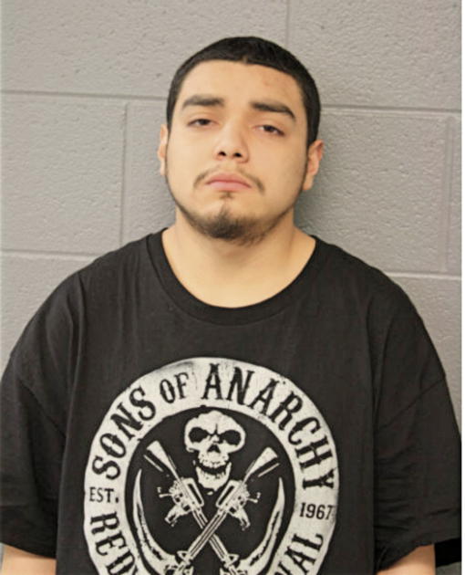 LUIS LEON, Cook County, Illinois