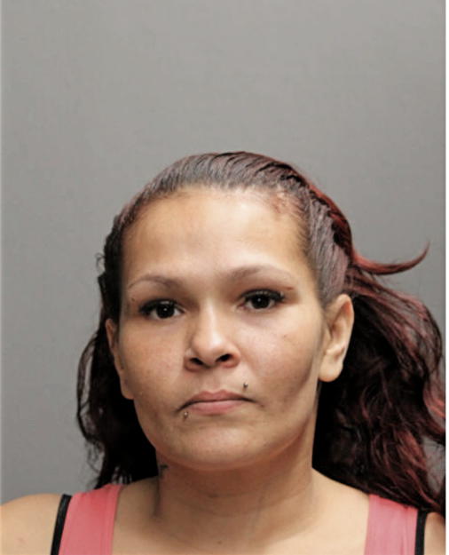 YOLANDA ROLDAN, Cook County, Illinois