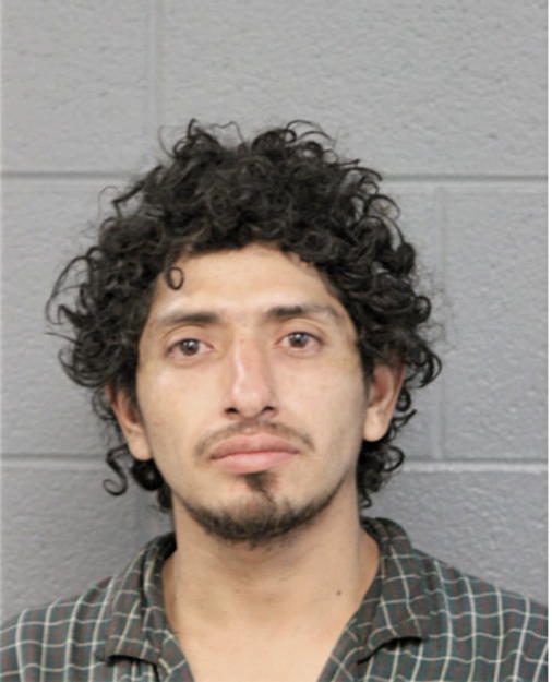 JULIO C RUIDIAS, Cook County, Illinois