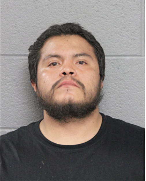 ALAIN C SANCHEZ, Cook County, Illinois