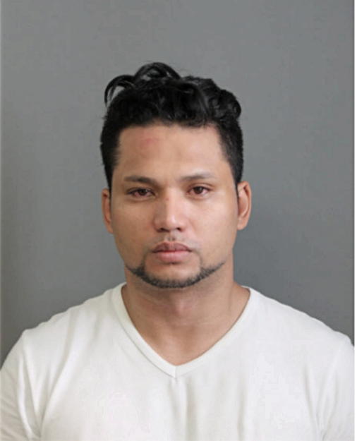 STEVEN J SHADD, Cook County, Illinois