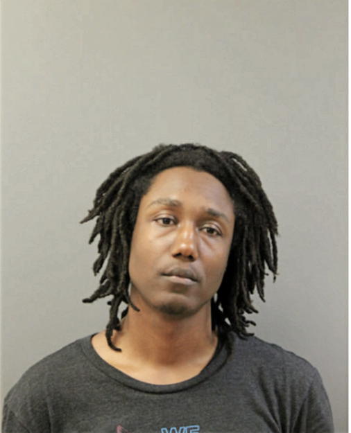 STEVE L THOMAS, Cook County, Illinois