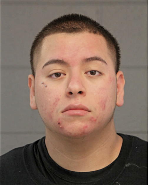 ESTEVAN VILLEGAS TREJO, Cook County, Illinois