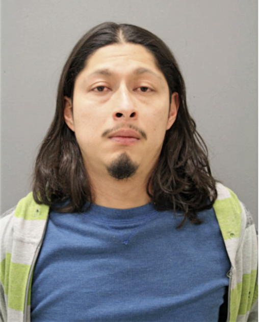 ENRIQUE VARGAS-TAPIA, Cook County, Illinois