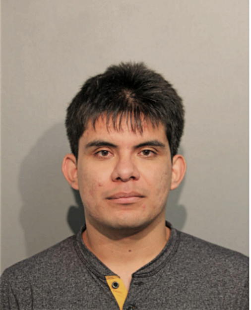 CARLOS E ALVAREZ, Cook County, Illinois