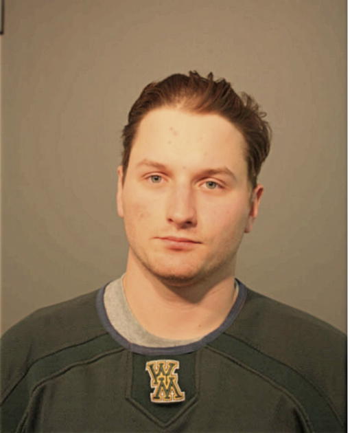 MICHAEL S ARCURE, Cook County, Illinois