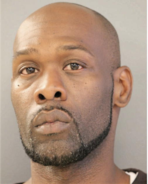 MICHAEL L ASH, Cook County, Illinois