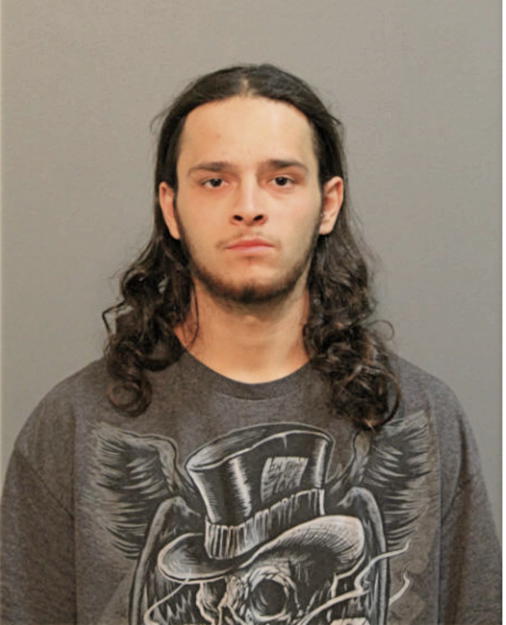 VICTOR R BANUELOS, Cook County, Illinois