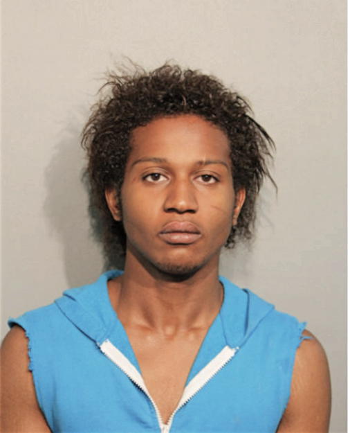 SAVONE K BOONE, Cook County, Illinois