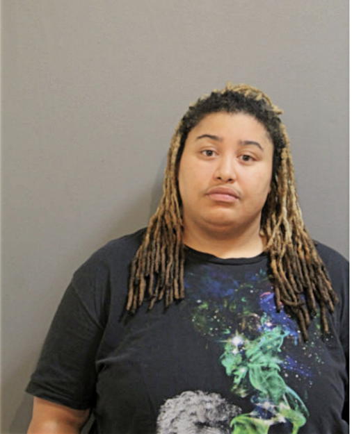 ANDREEA E COCHRAN, Cook County, Illinois