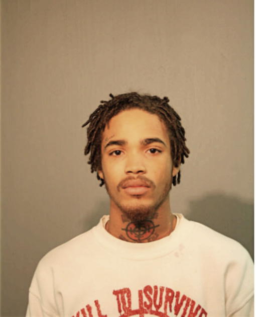 DEVON Q DAVIS, Cook County, Illinois
