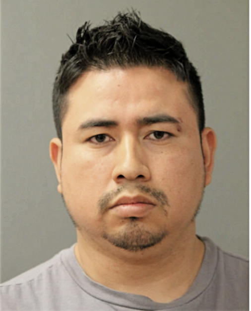 RIGBERTO DOMINGUEZ-TETZOYOTL, Cook County, Illinois