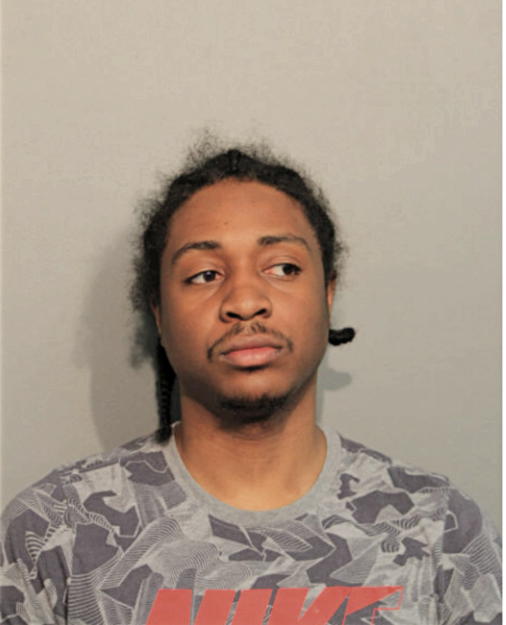 SHERWIN L FLOWERS, Cook County, Illinois