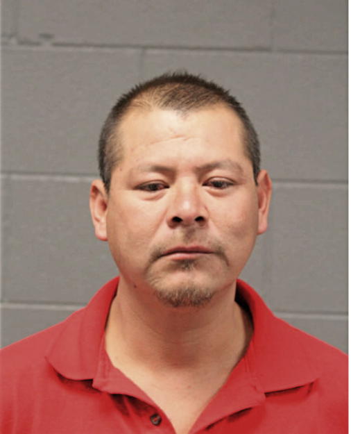 LUIS A GODINEZ QUITERIO, Cook County, Illinois