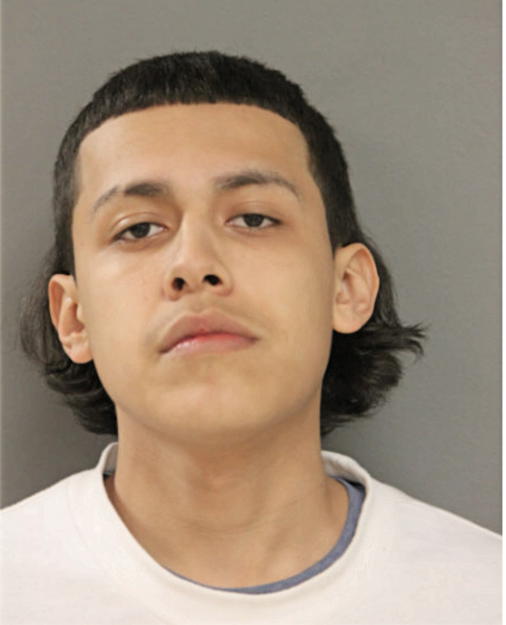 LEONARDO HERRERA, Cook County, Illinois