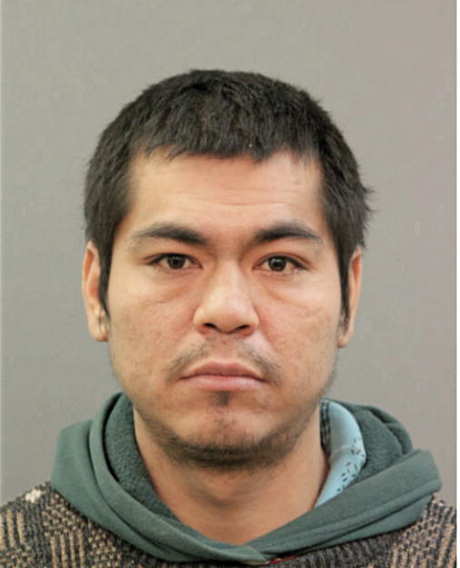 RENE A HERRERA, Cook County, Illinois