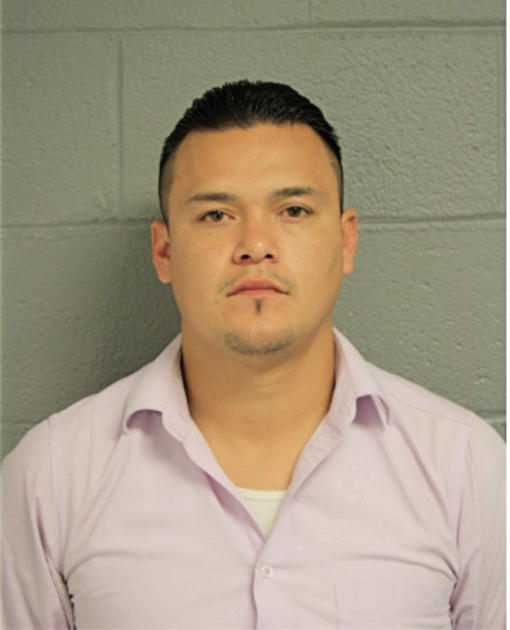 VICTOR L HERRERA, Cook County, Illinois