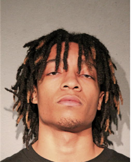 JULIAN P HOPKINS, Cook County, Illinois