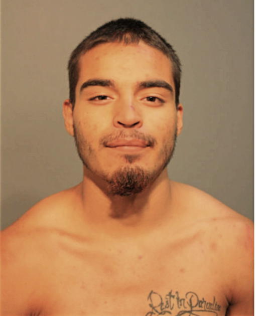 NIKO L MARES, Cook County, Illinois