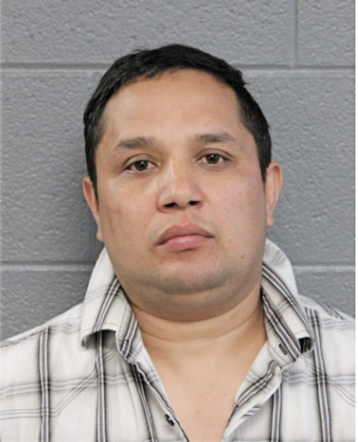 MARIO O MENDEZ, Cook County, Illinois