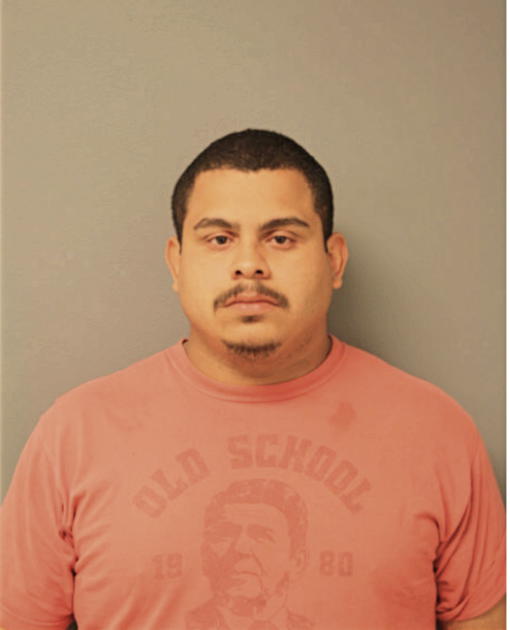 DANIEL O NIEVES, Cook County, Illinois