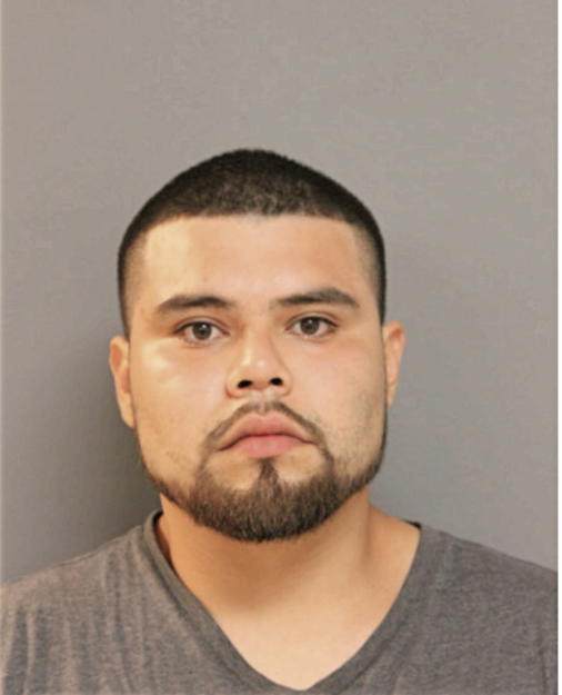 ITZEL G ORTIZ, Cook County, Illinois