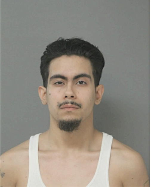 JONATHAN J PAGAN, Cook County, Illinois