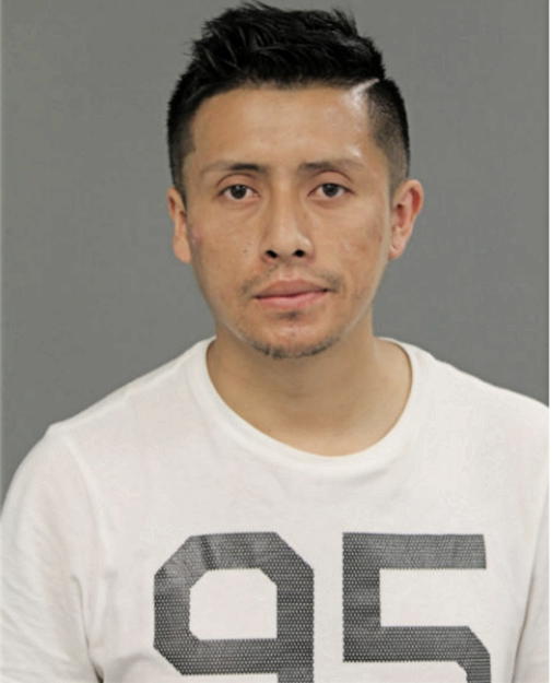 JAVIER PATINO, Cook County, Illinois