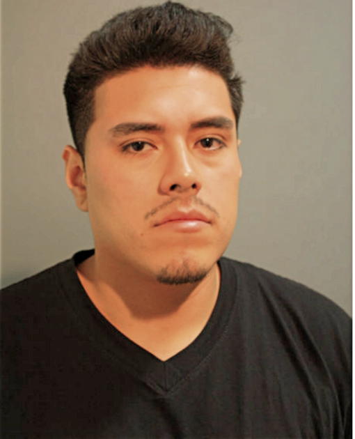 JOSE PEREZ-MENESES, Cook County, Illinois