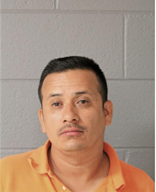 ARNULFO PINA, Cook County, Illinois