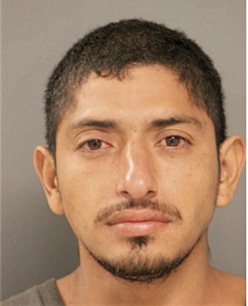 JULIO RUIDIAS, Cook County, Illinois