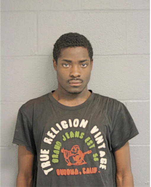 DASHAWN J SHINAUL, Cook County, Illinois