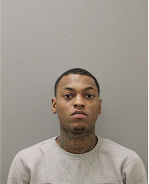 DESHAUN N SPEARS, Cook County, Illinois