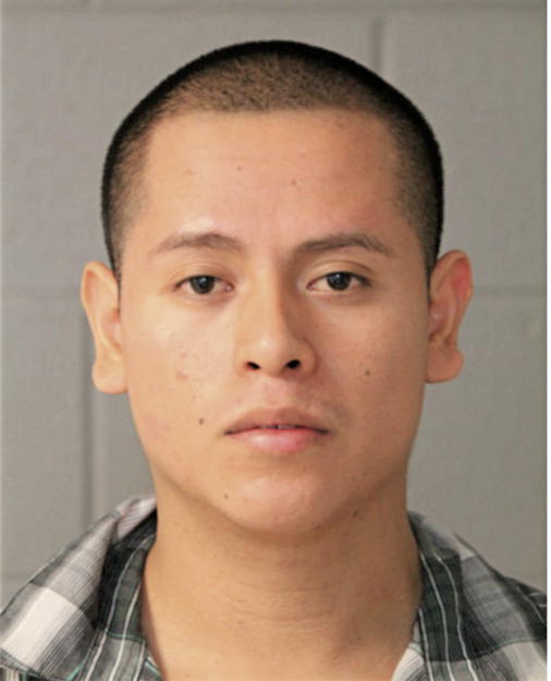 ANTONIO H ALVARADO, Cook County, Illinois