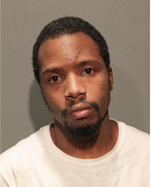 DEMARLO L ANDERSON, Cook County, Illinois