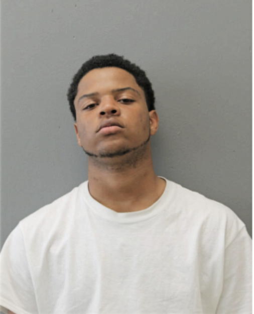 JULIAN T ASH, Cook County, Illinois