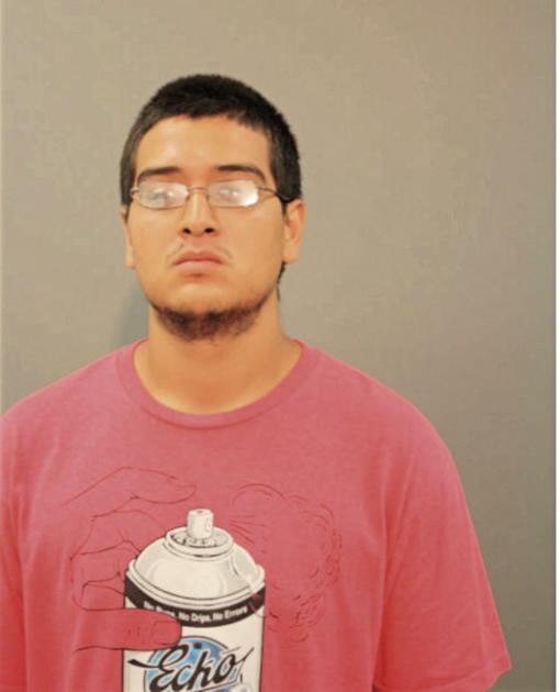 SERGIO BAUTISTA, Cook County, Illinois